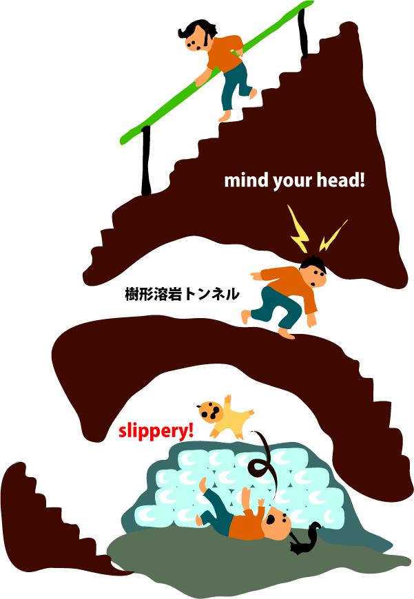 �X���̓����̒���